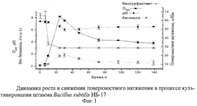 Штамм бактерий b. subtilis - продуцент сурфактина (патент 2270858)