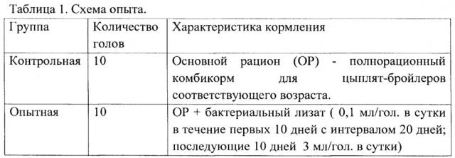 Способ повышения продуктивности и резистентности к бактериальным и вирусным инфекциям у сельскохозяйственных животных, птиц, рыб, получающих биологически активную добавку к пище (патент 2651835)