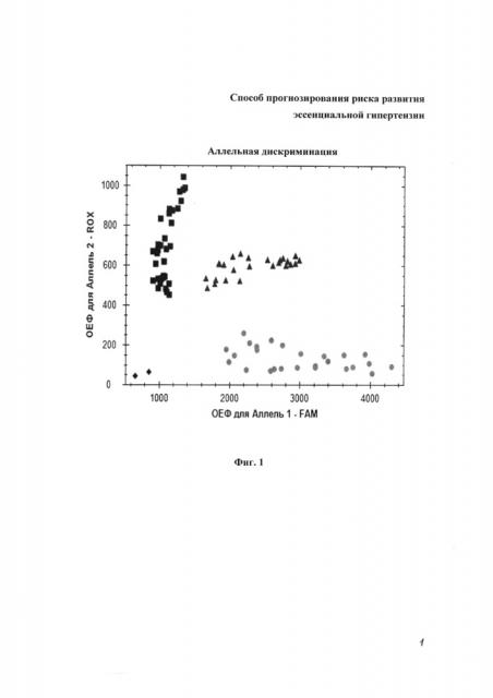 Способ прогнозирования риска развития эссенциальной гипертензии (патент 2661604)