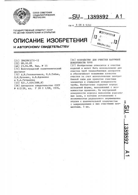 Устройство для очистки наружной поверхности труб (патент 1389892)