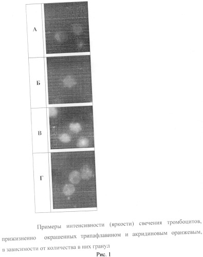 Способ оценки морфофункционального статуса тромбоцитов человека (патент 2485502)