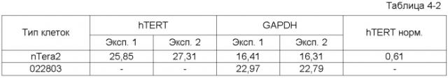 Лечение заболевания периферических сосудов при помощи клеток, полученных из ткани пуповины (патент 2576836)