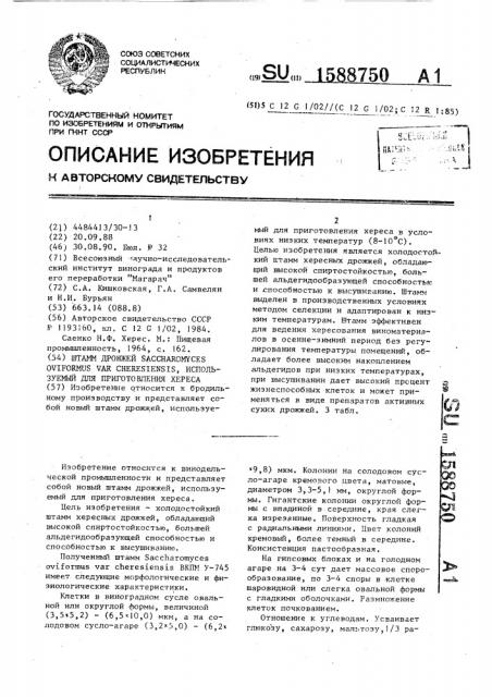 Штамм дрожжей sасснаrомyсеs оvifоrмus var снеrеsiеnsis, используемый для приготовления хереса (патент 1588750)