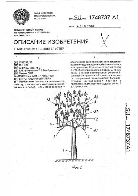 Виноградная шпалера (патент 1748737)