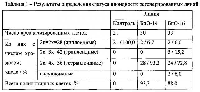 Получение полиплоидных растений березы (патент 2653436)