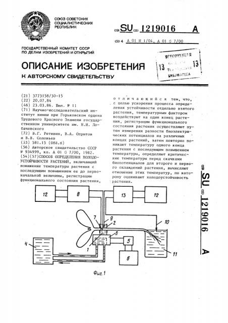 Способ определения холодоустойчивости растений (патент 1219016)