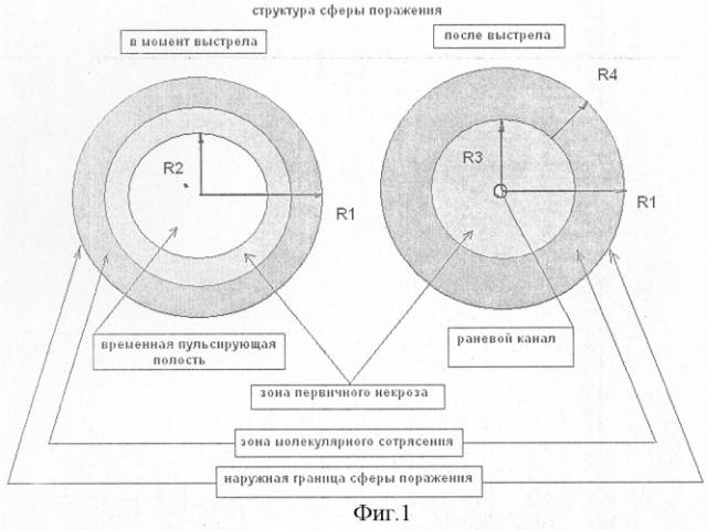 Способ оценки тяжести механического повреждения биологического объекта и устройство для его осуществления (патент 2291664)