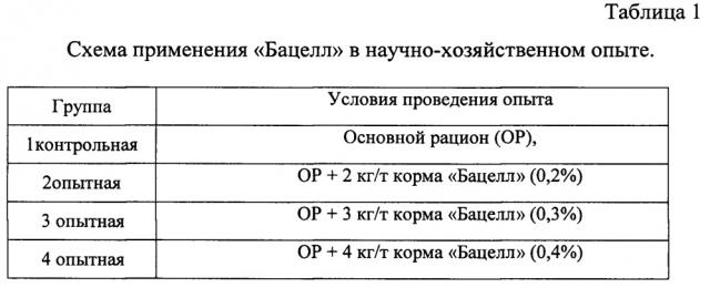 Способ содержания кур несушек родительского стада (патент 2622921)