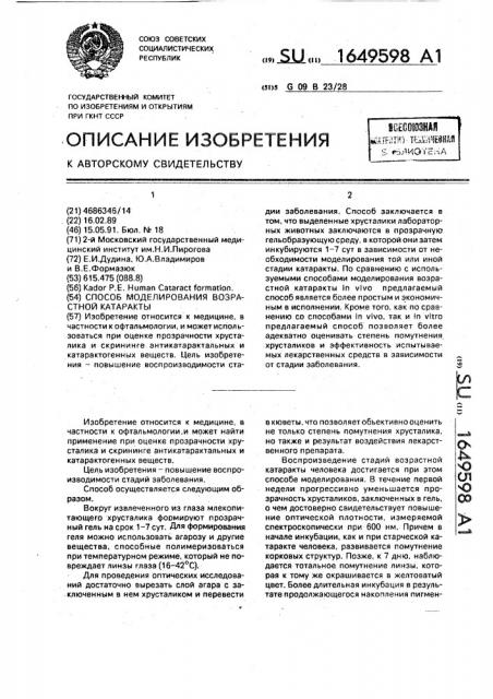 Способ моделирования возрастной катаракты (патент 1649598)