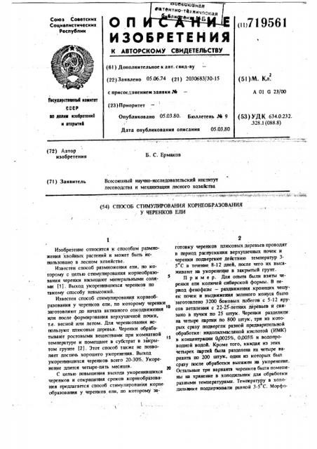 Способ стимулирования корнеобразования у черенков ели (патент 719561)