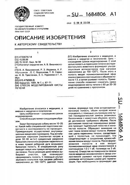 Способ моделирования кисты печени (патент 1684806)