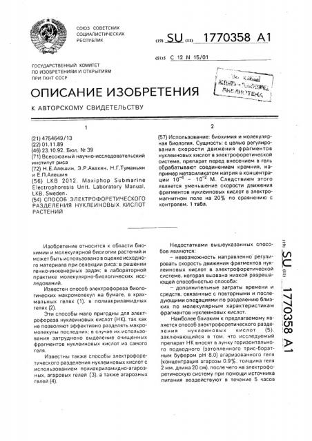 Способ электрофоретического разделения нуклеиновых кислот растений (патент 1770358)