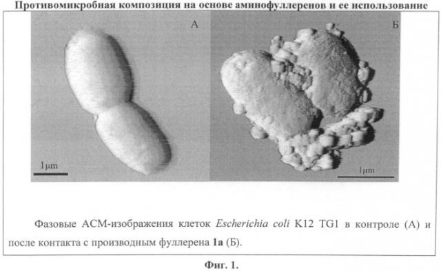 Применение пентааминофуллеренов в качестве противомикробных средств и противомикробная композиция на их основе (патент 2501785)
