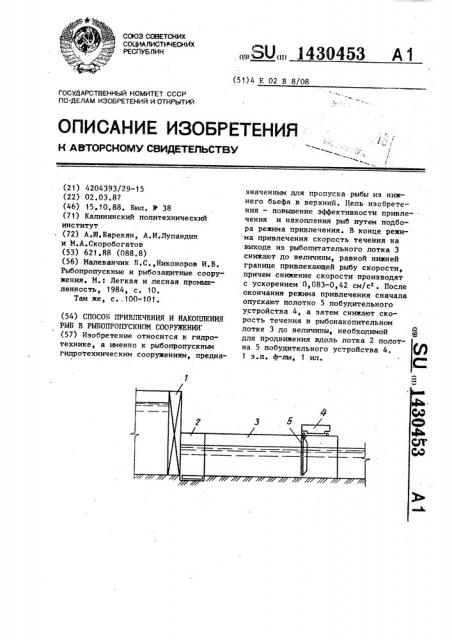 Способ привлечения и накопления рыб в рыбопропускном сооружении (патент 1430453)