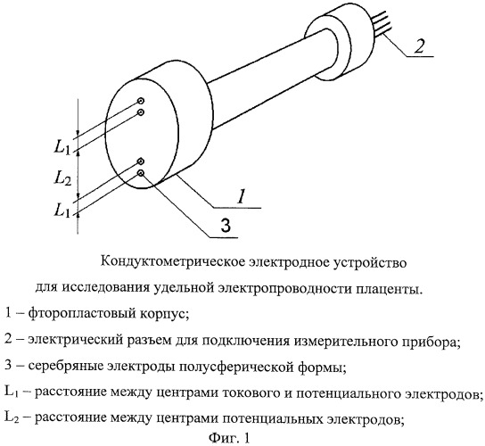 Способ определения плацентарной недостаточности после родов (патент 2438572)