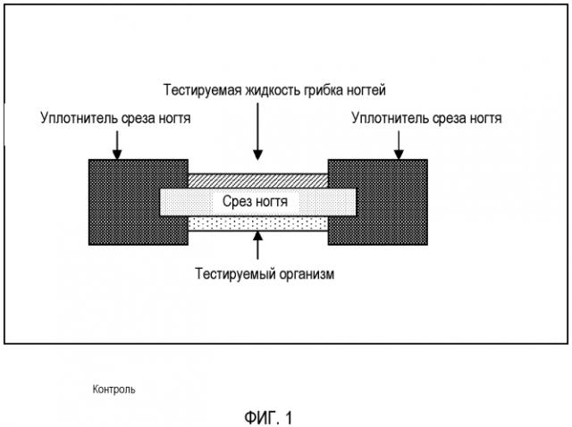 Композиция для лечения грибка ногтей (патент 2575774)