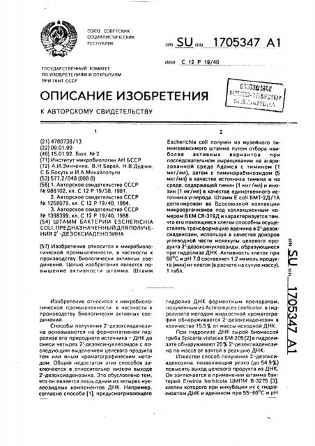 Штамм бактерий еsснеriснiа coli, предназначенный для получения 2ъ-дезоксиаденозина (патент 1705347)