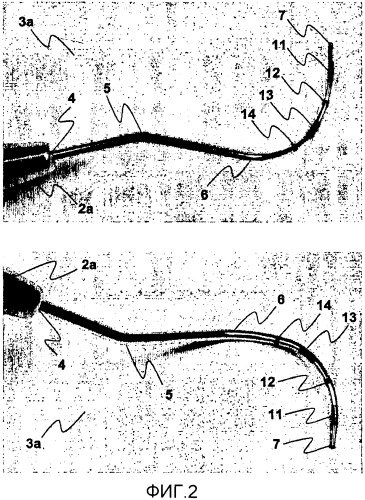 Способ и устройство для измерения орального субстрата у животных (патент 2385688)
