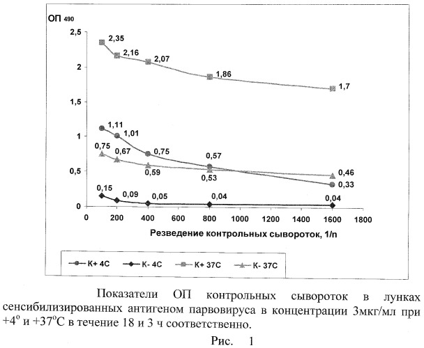 Тест-система ифа для серологической диагностики парвовирусной инфекции крупного рогатого скота и определения уровня поствакцинальных антител (патент 2461008)