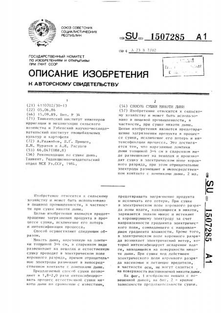 Способ сушки мякоти дыни (патент 1507285)