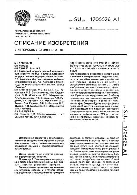 Способ лечения ран и гнойно-нектротических поражений пальцев у сельскохозяйственных животных (патент 1706626)