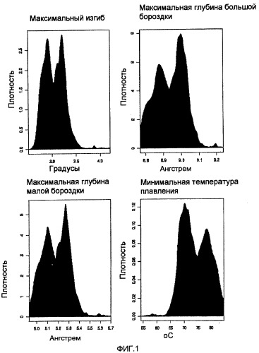 Днк, повышающая продуцирование белка, и ее применение (патент 2375450)