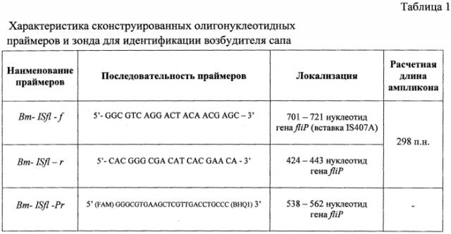 Набор олигонуклеотидных праймеров и флуоресцентно-меченого зонда для идентификации burkholderia mallei и дифференциации его от burkholderia pseudomallei (патент 2551208)