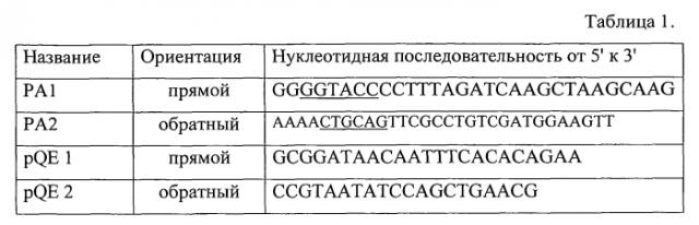 Рекомбинантная днк pa4, рекомбинантная днк pqe 30-pa4, обеспечивающие получение полипептида a4, штамм esherichia coli m 15-a4, трансформированный рекомбинантной плазмидной днк pqe 30-pa4 и экспрессирующий рекомбинантный полипептид a4, рекомбинантный полипептид a4, обладающий способностью селективно связывать чса, аффинные сорбенты (варианты) и способы удаления чса и igg из сыворотки крови (варианты) (патент 2572343)