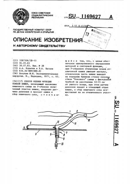Способ оценки функции тонкой кишки (патент 1169627)