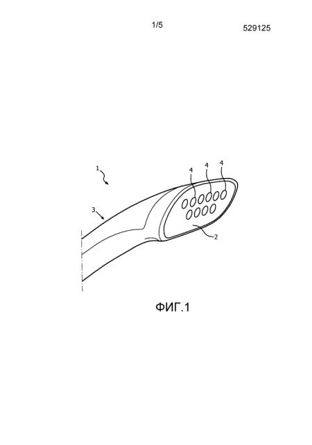 Головка ручного отпаривателя (патент 2647448)