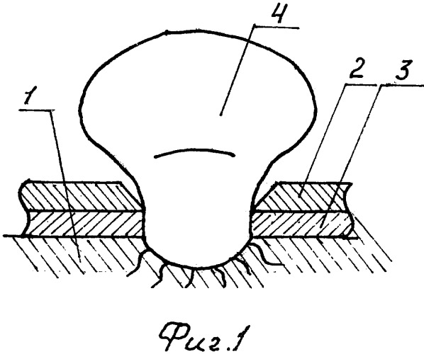 Устройство для сбора урожая грибных и овощных культур (патент 2421979)