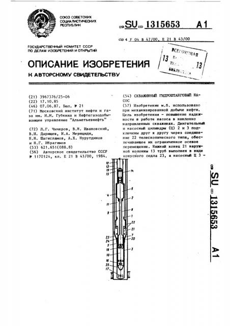 Скважинный гидроштанговый насос (патент 1315653)