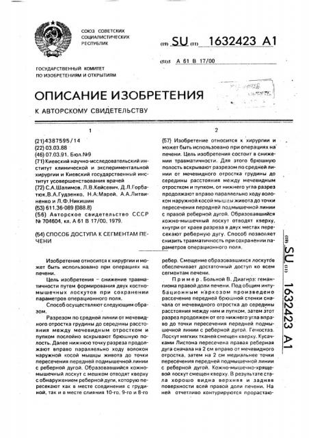 Способ доступа к сегментам печени (патент 1632423)