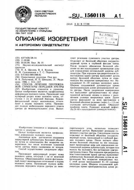 Способ лечения протяженной стриктуры передней уретры (патент 1560118)