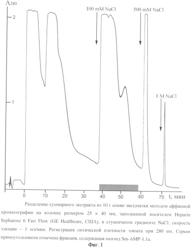 Пептид, обладающий антифунгальной активностью (патент 2352580)