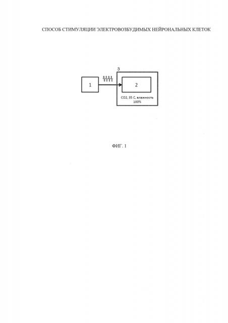 Способ стимуляции электровозбудимых нейрональных клеток (патент 2621841)