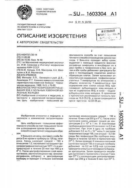 Способ прогнозирования рубцевания язв у больных язвенной болезнью желудка (патент 1603304)