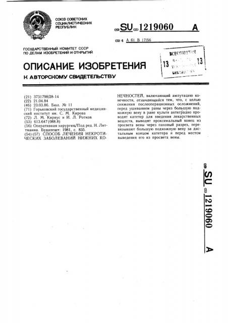 Способ лечения некротических заболеваний нижних конечностей (патент 1219060)