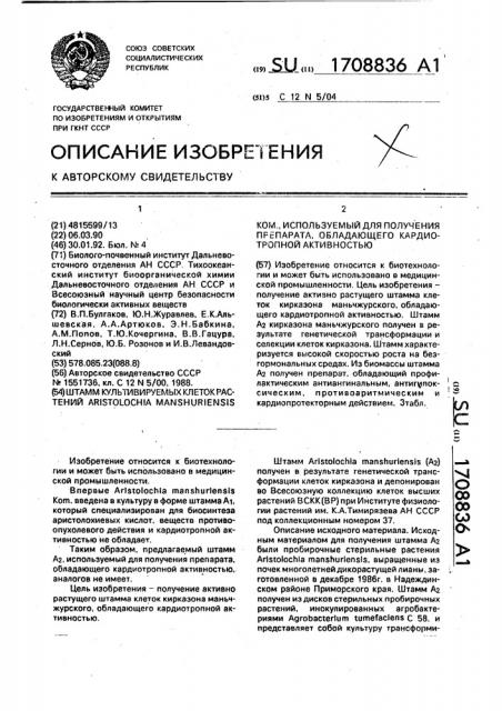 Штамм культивируемых клеток растений аrisтоlоснiа маnsнuriеnsis ком., используемый для получения препарата, обладающего кардиотропной активностью (патент 1708836)
