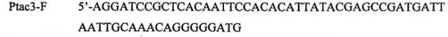 Рекомбинантный штамм escherichia coli-продуцент l-треонина (патент 2546237)