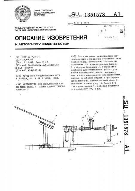 Устройство для определения силы мышц бедра и голени лабораторного животного (патент 1351578)