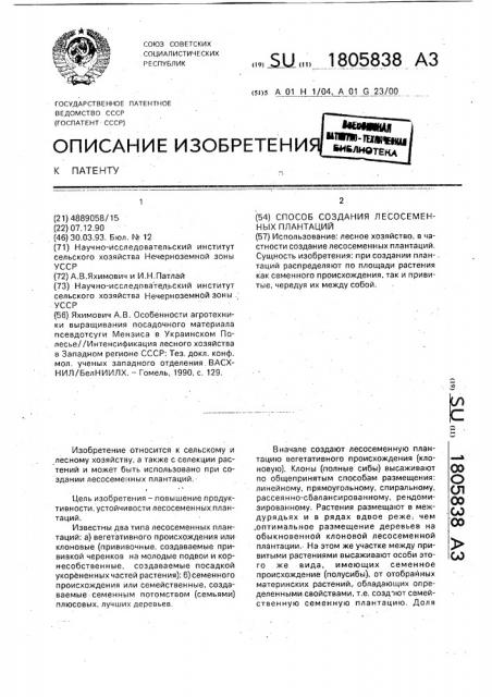Способ создания лесосеменных плантаций (патент 1805838)