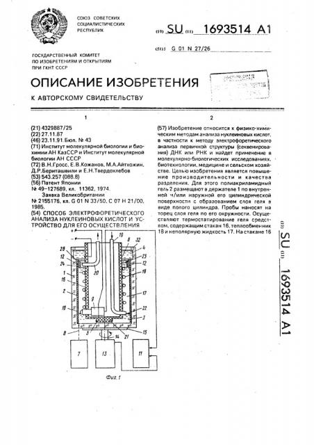 Способ электрофоретического анализа нуклеиновых кислот и устройство для его осуществления (патент 1693514)