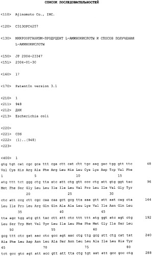 Бактерия - продуцент l-аминокислоты и способ получения l-аминокислоты (варианты) (патент 2316588)