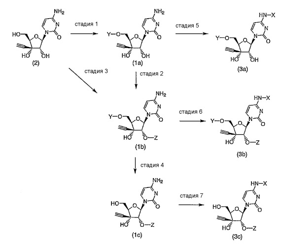Производное 3'-этинилцитидина (патент 2441876)