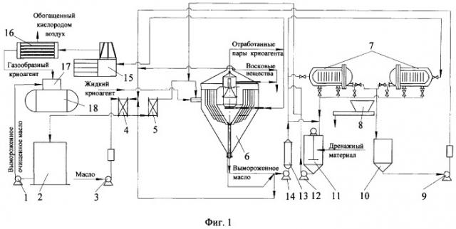 Способ криогенной винтеризации масел и установка для его осуществления (варианты) (патент 2278895)