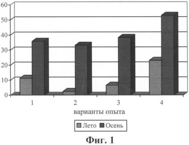 Способ выращивания растений (патент 2481760)