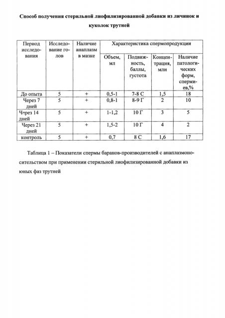 Способ получения стерильной лиофилизированной добавки из личинок и куколок трутней (патент 2614790)