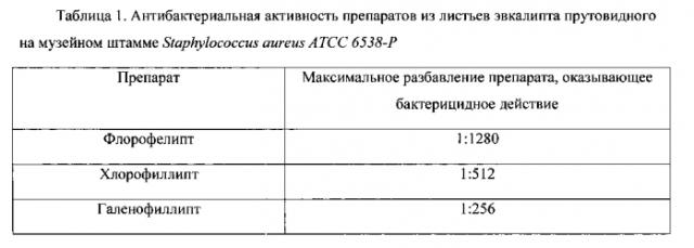 Способ получения антибактериального препарата из листьев эвкалипта прутовидного (патент 2572231)