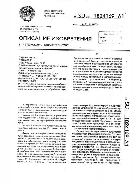 Линия для послеуборочной доработки лука (патент 1824169)